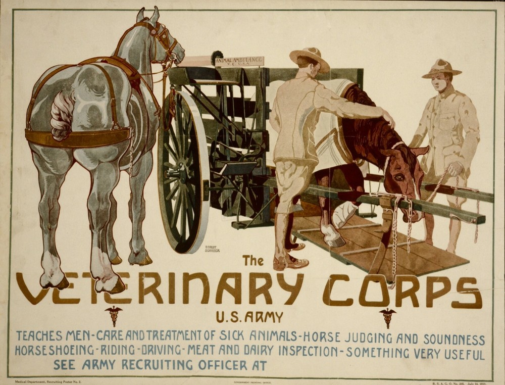 3259.U.S Army Veterinary Corps POSTER.Horses.Home shop School Room art decor