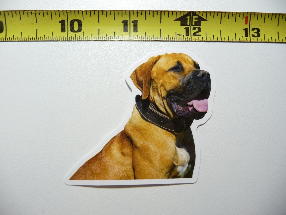 Funny Bullmastiff Dog Collar Decal Sticker for Playful Furbabies
