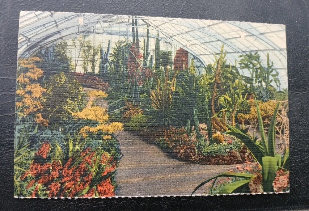 CINCINNATI Ohio Eden Park Cactus House Irwin Krohn Conservatory