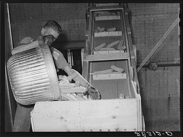 Reinbeck Iowa 1930s Farm Security Administration Corn Shelling Machine Racks