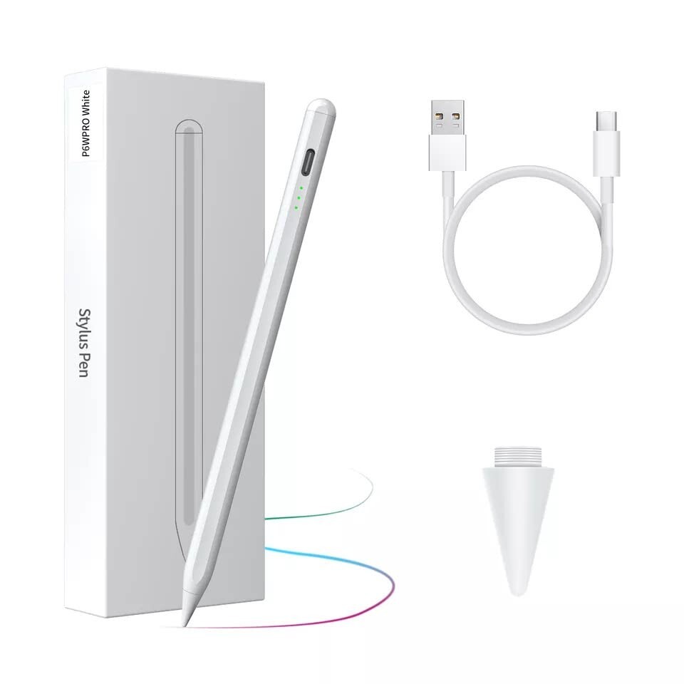Touch Screen Active Stylus Pen with Palm Rejection for Apple Ipad Pro & Mini 6