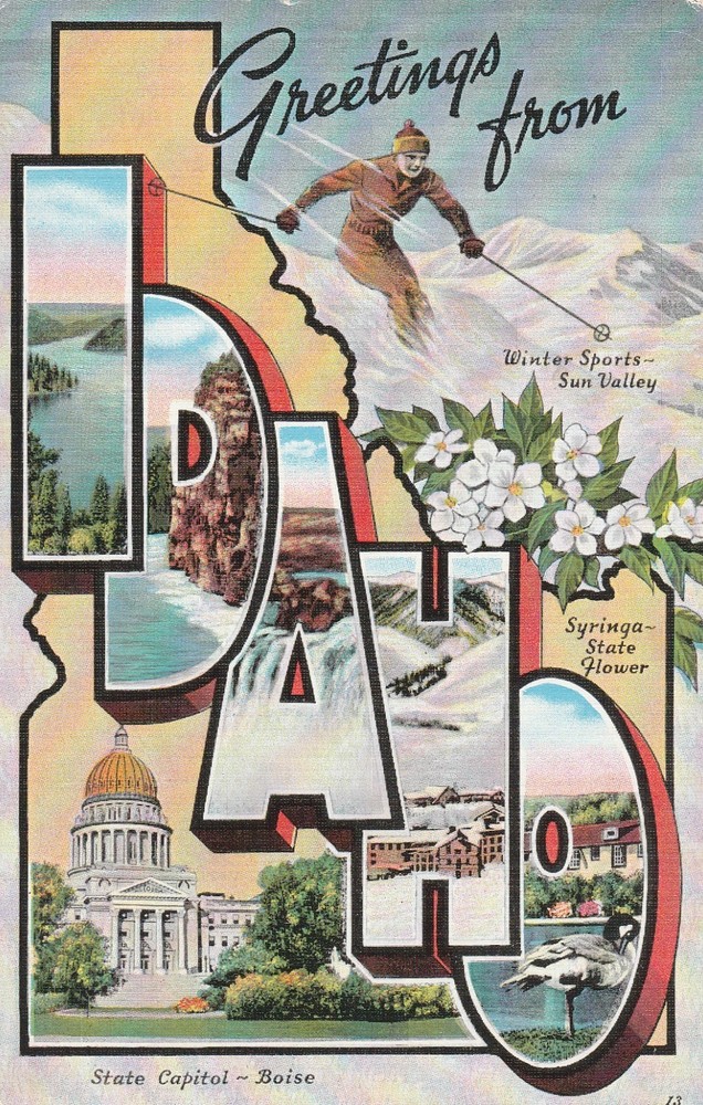 Idaho, Boise, Greetings from, Large Letter