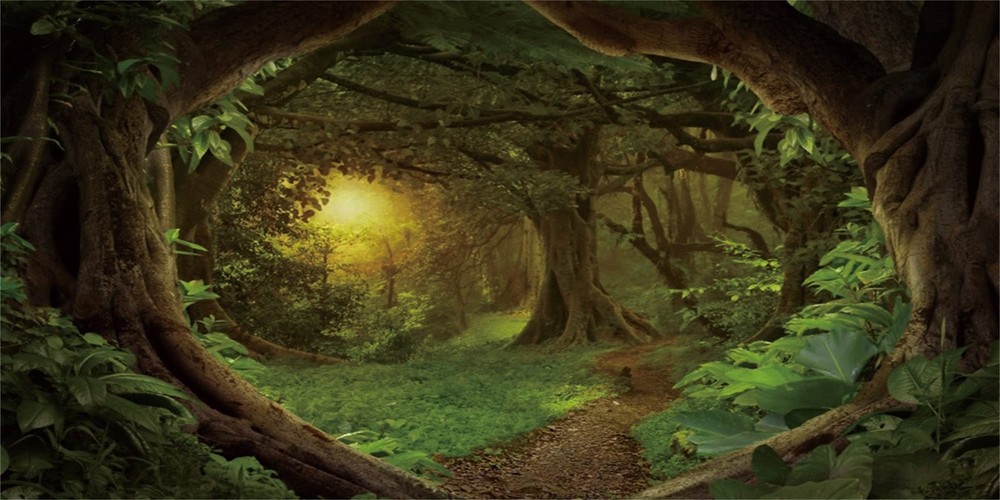 AWERT 36x18 inches Psychedelic Forest Terrarium Background Dim Old Trees Wood...