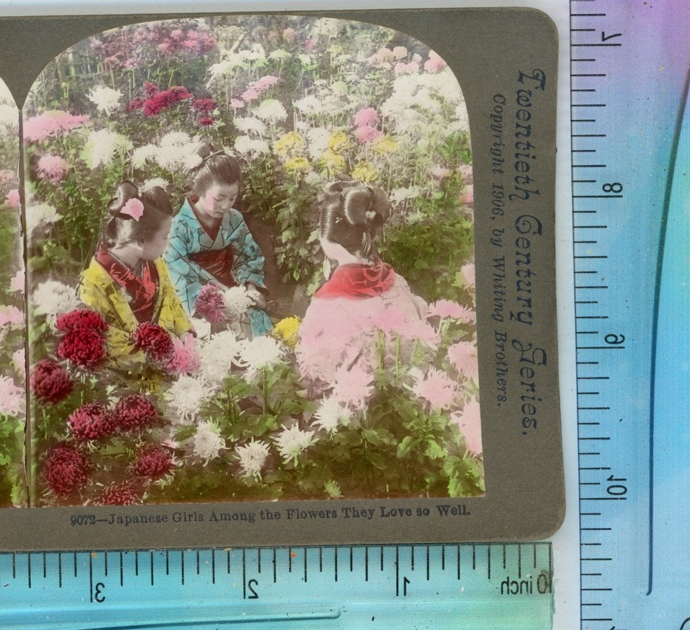 Japanese Girls Among Flowers They Love Japan Whiting Stereoview