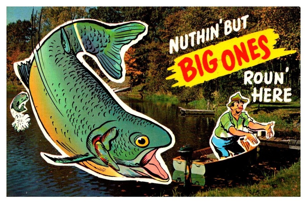 c1960 Nothing But Big Ones Around Here Fisherman Tall Tale Vintage Postcard