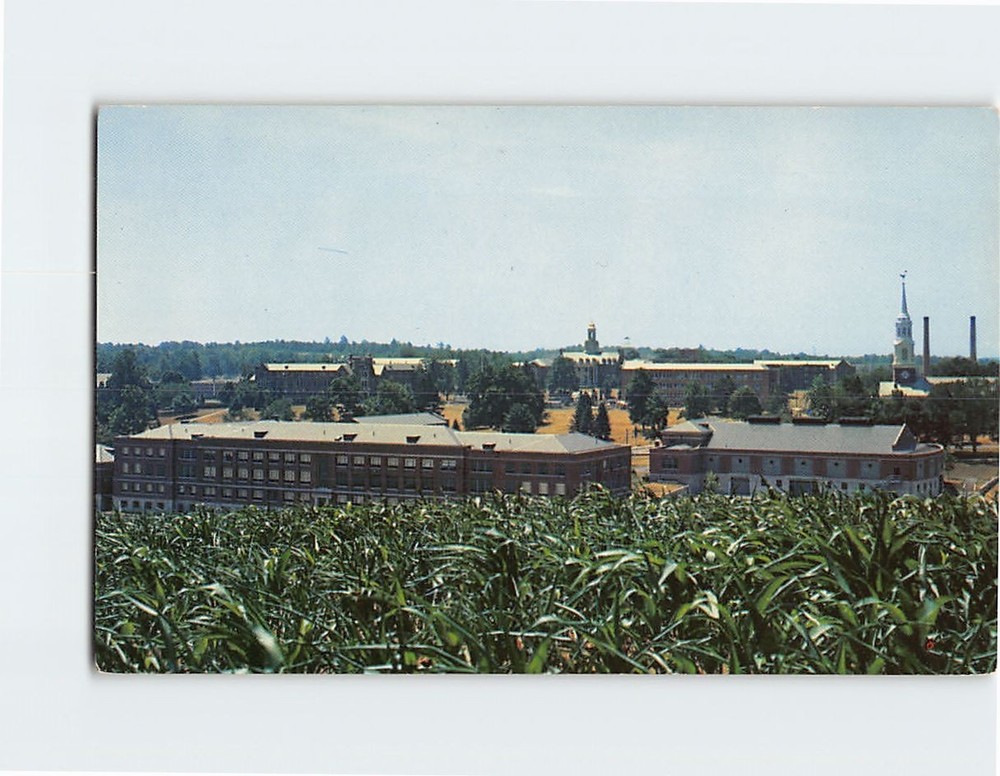 Postcard University of Connecticut Storrs Connecticut USA