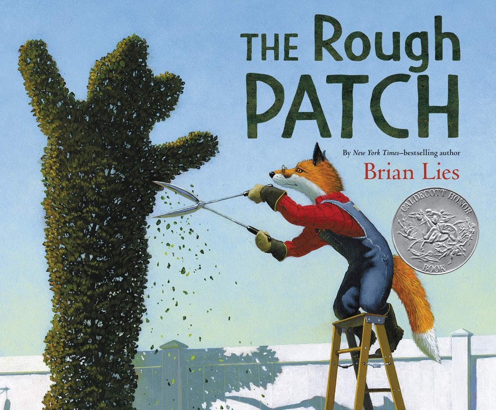 The Rough Patch: A Caldecott Honor Award Winner – A Story of Love, Loss, and...