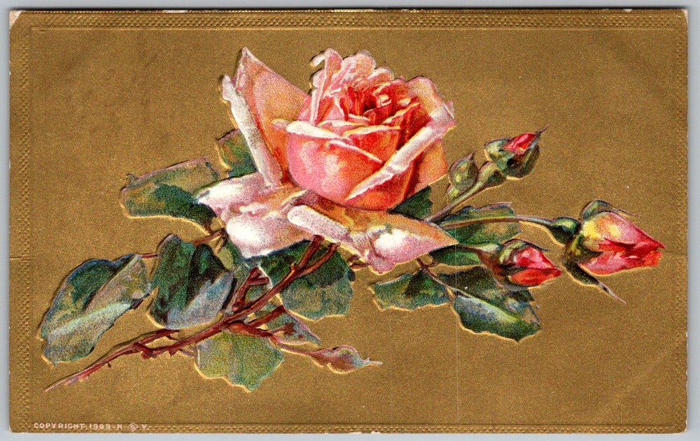 Antique Postcard Pink Rose Embossed Greeting 1910s