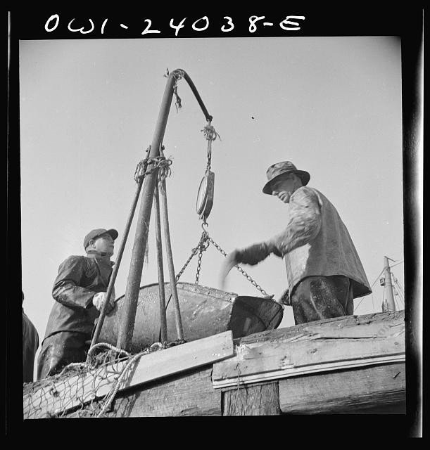 New York NY 1943 Fulton Fish Market Dock Stevedores Loading Fish Baskets