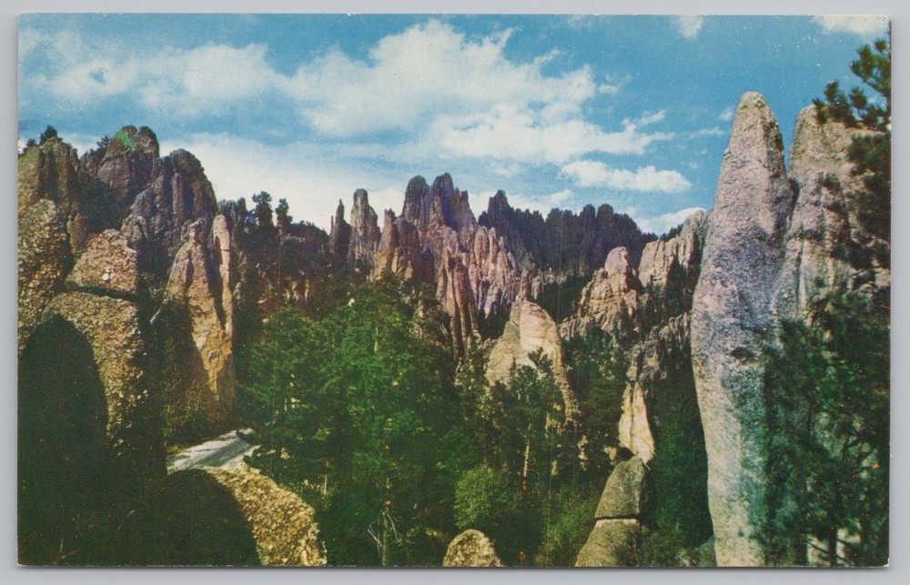 State View~Scene On Needles Highway Black Hills of South Dakota~Vintage Postcard