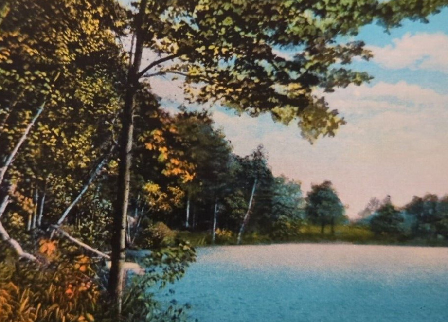 Lake Mansfield View Great Barrington MA Massachusetts VTG Souvenir Postcard