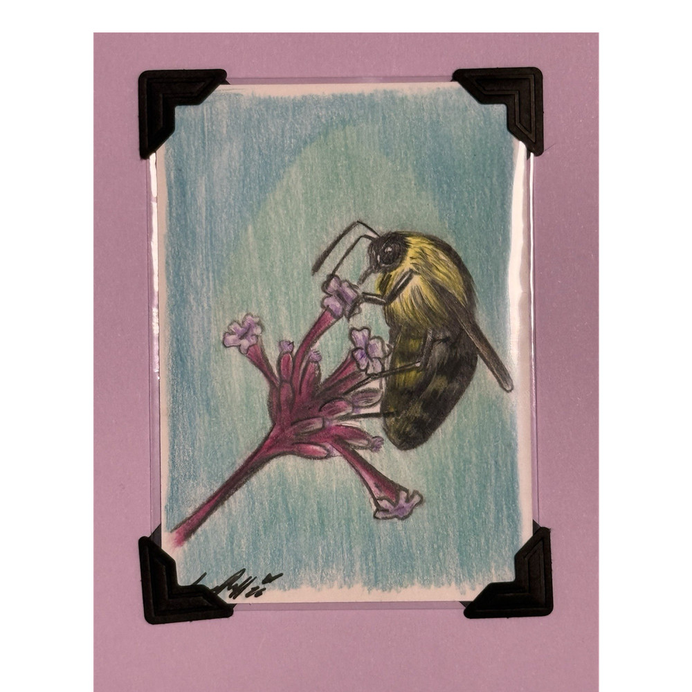 Aceo Art Card Honey Bee Original Colored Pencil Drawing Signed Screampuff Bug