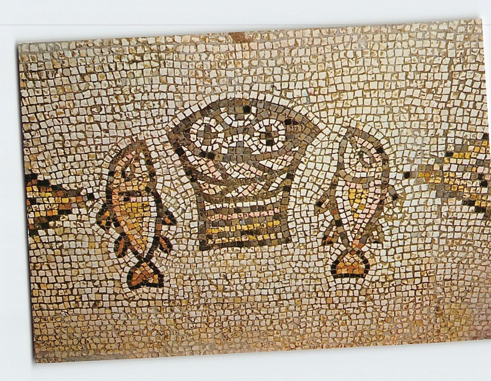 Postcard Byzantine Mosaic Floor Church of Multiplication Tabgha Israel