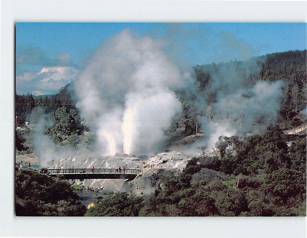 Postcard Pohutu Geyser Rotorua New Zealand