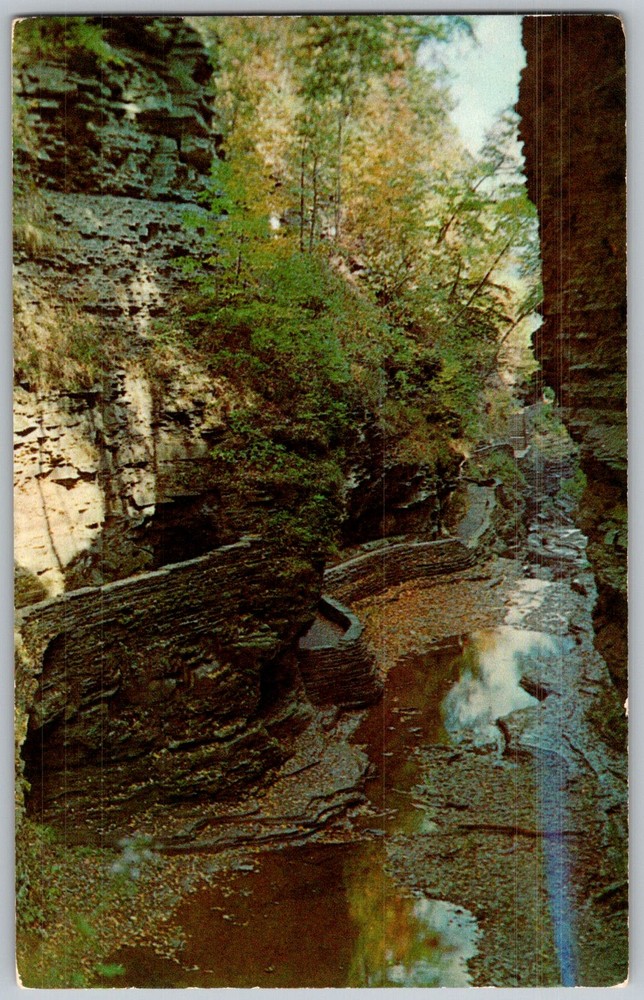 Vtg Postcard Gorge Cathedral Watkins Glen, NY 1950s