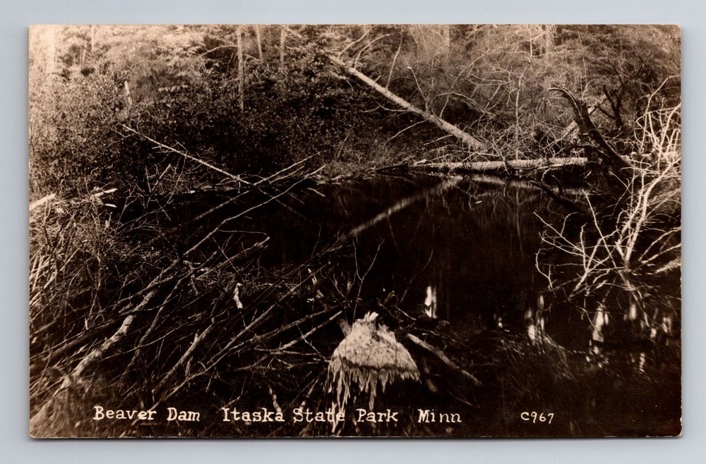 MN-Minnesota, Beaver Dam, Itaska State Park, Antique, Vintage Souvenir Postcard