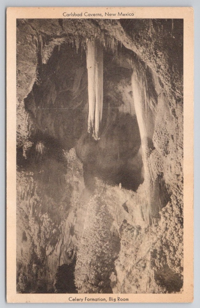 Carlsbad Caverns NM Celery Formation Big Room RPPC Vintage Postcard