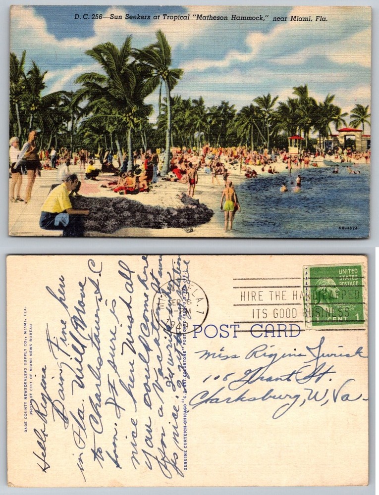 Vintage Matheson Hammock Park Miami Florida Linen Postcard Sun Seekers 1946