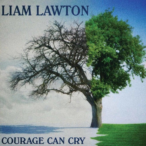 Liam Lawton Courage Can Cry New CD Album