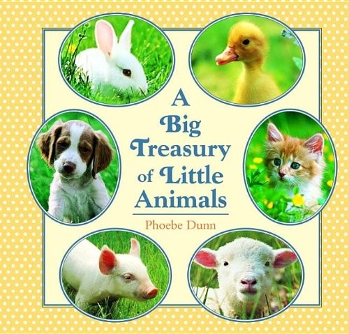 Big Treasury of Little Animals by Dunn