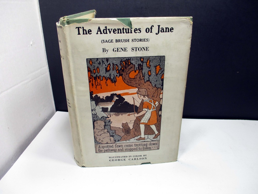 The Adventures Of Jane Sage Brush Stories Gene Stone 1921