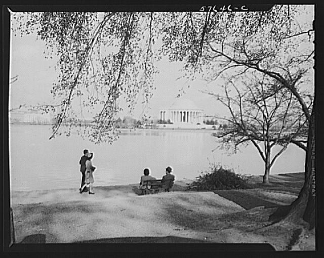 Washington DC Lincoln Memorial Tidal Basin 1930s Couples Benches Cherry Trees