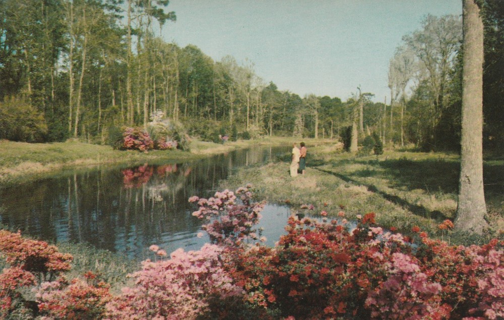 Vintage chrome Postcard Lagoon at Beauvoir Jefferson Davis Shrine Biloxi MS