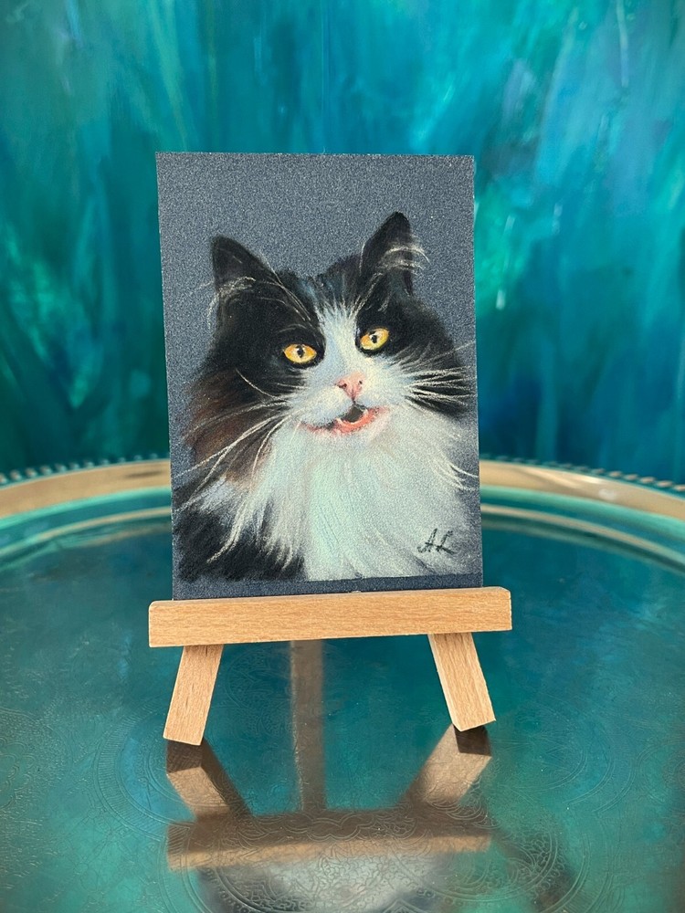 Original Pastel ACEO Tuxedo Cat Drawing by Professional Artist  