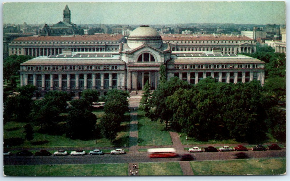 Postcard - Natural History Building - Smithsonian Institution - Washington, D. C