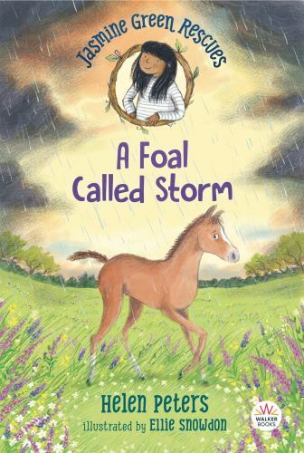Jasmine Green Rescues: A Foal Called Storm, USED-Very Good, Peters, Helen