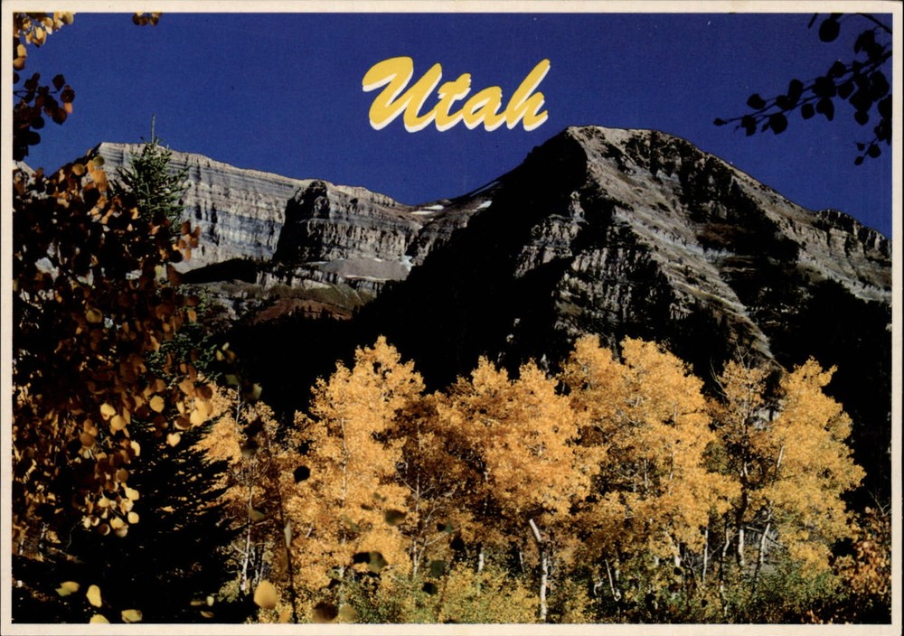 Utah mountains yellow fall foliage Aspens ~ unused postcard sku777