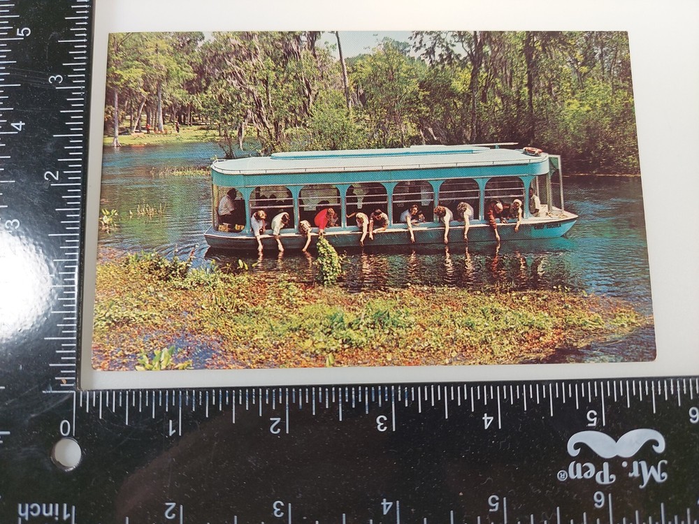 Glass-Bottom Boat Silver River Silver Springs  Florida Unused Postcard