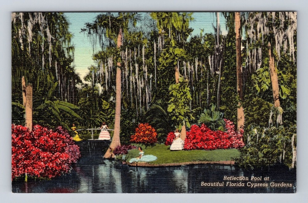 Cypress Gardens FL-Florida, Reflection Pook, Antique Vintage Souvenir Postcard
