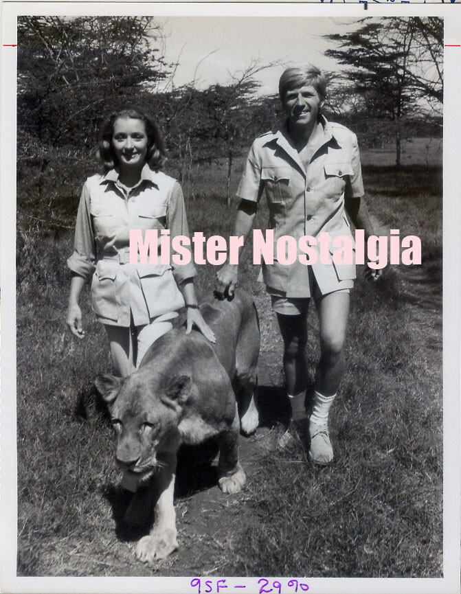 Vintage Photo 1974 Gary Collins Diana Muldaur Born Free Lioness Lion Kenya