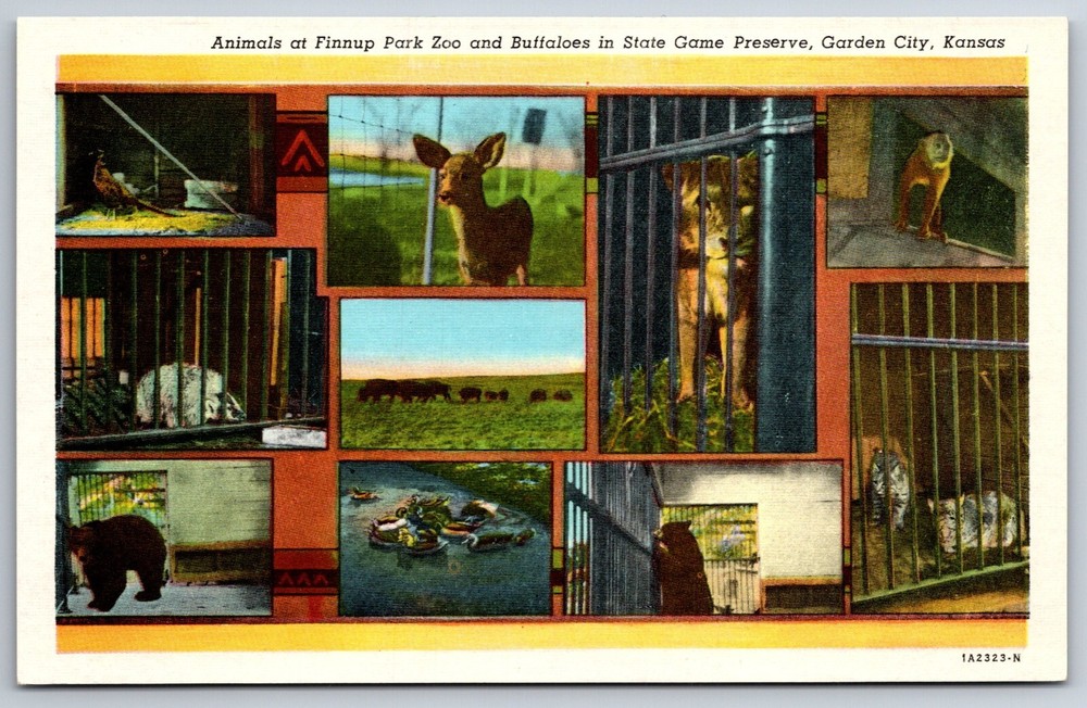 Garden City Kansas~Animals @ Finnup Park Zoo & Buffaloes~Vintage Linen Postcard