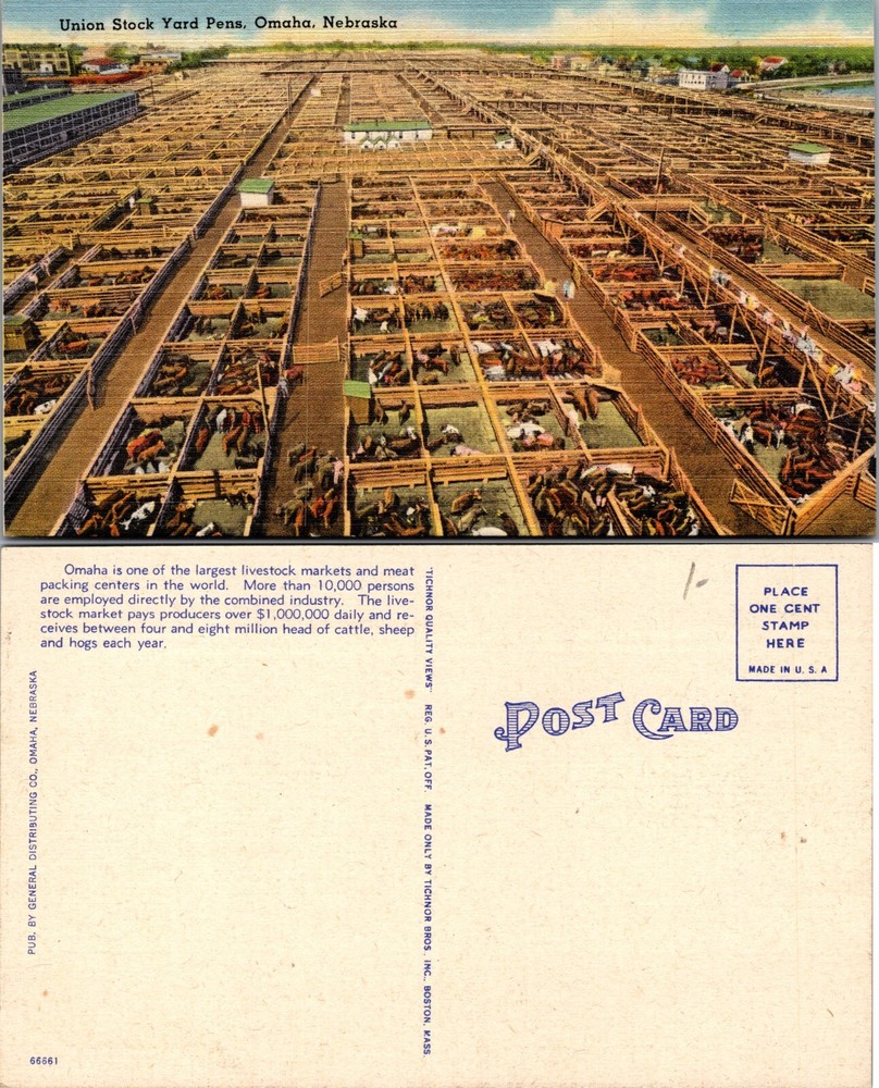 Union Stock Yard Pens Omaha Nebraska NE Postcard