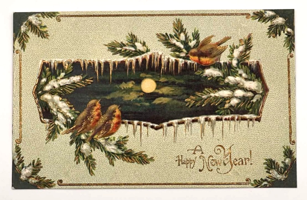 1908 Happy New Year Postcard Winter Birds Snow Scene Full Moon Embossed