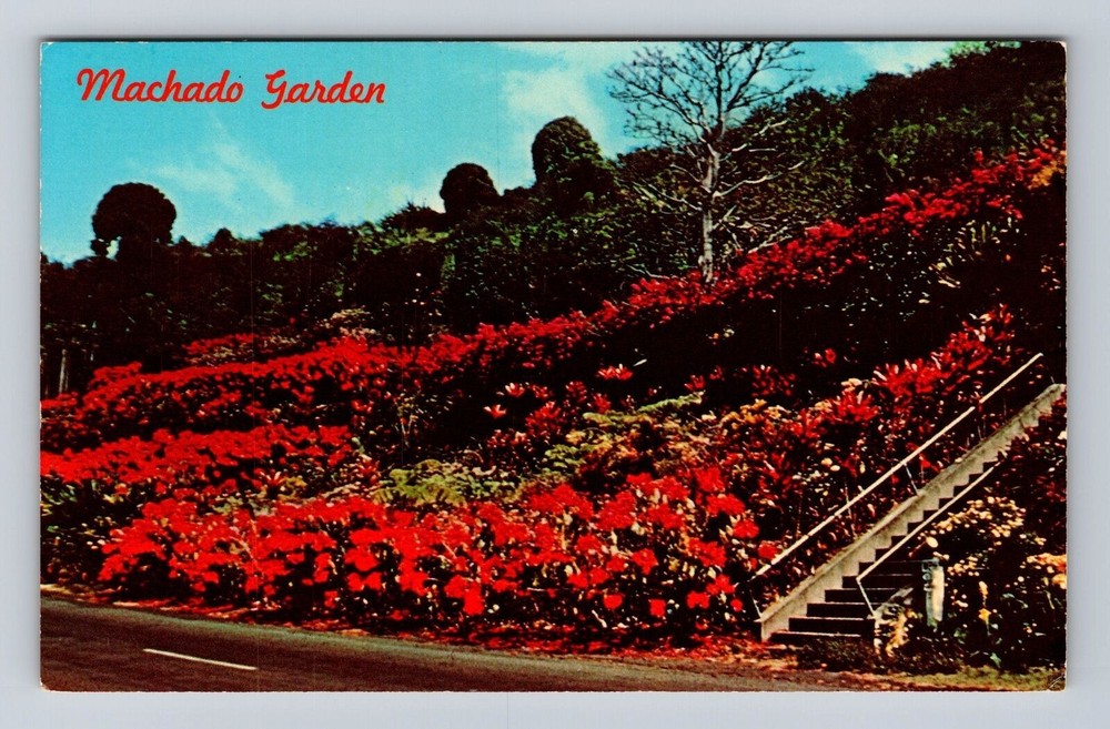 Kona HI-Hawaii, Machado Garden, Antique, Vintage Souvenir Postcard