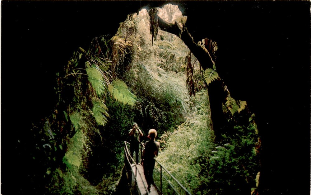 Thurston Lava Tube, Hawaii Volcanoes National Park, Berkeley, Postcard