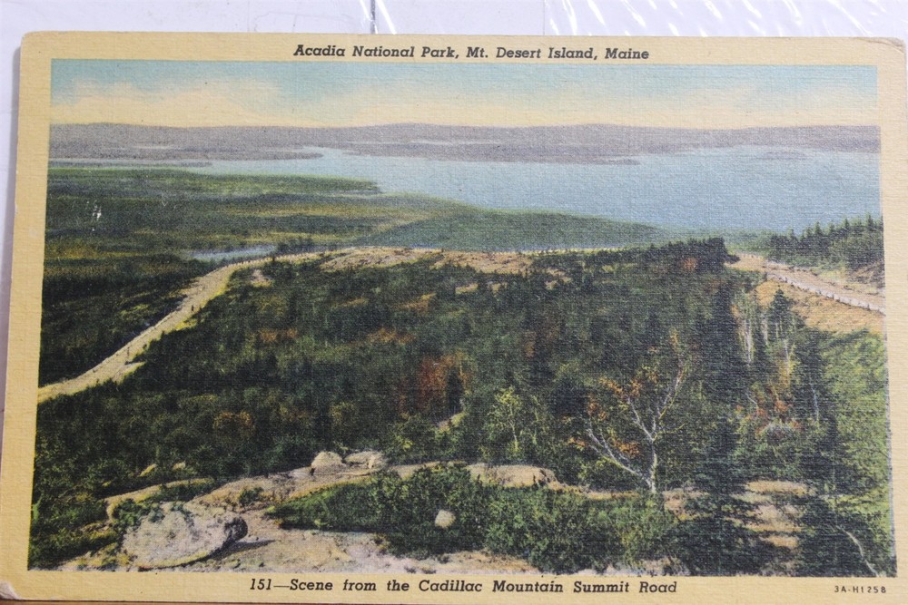 Maine ME Mt Desert Island Acadia National Park Cadillac Mtn Summit Road Postcard-image