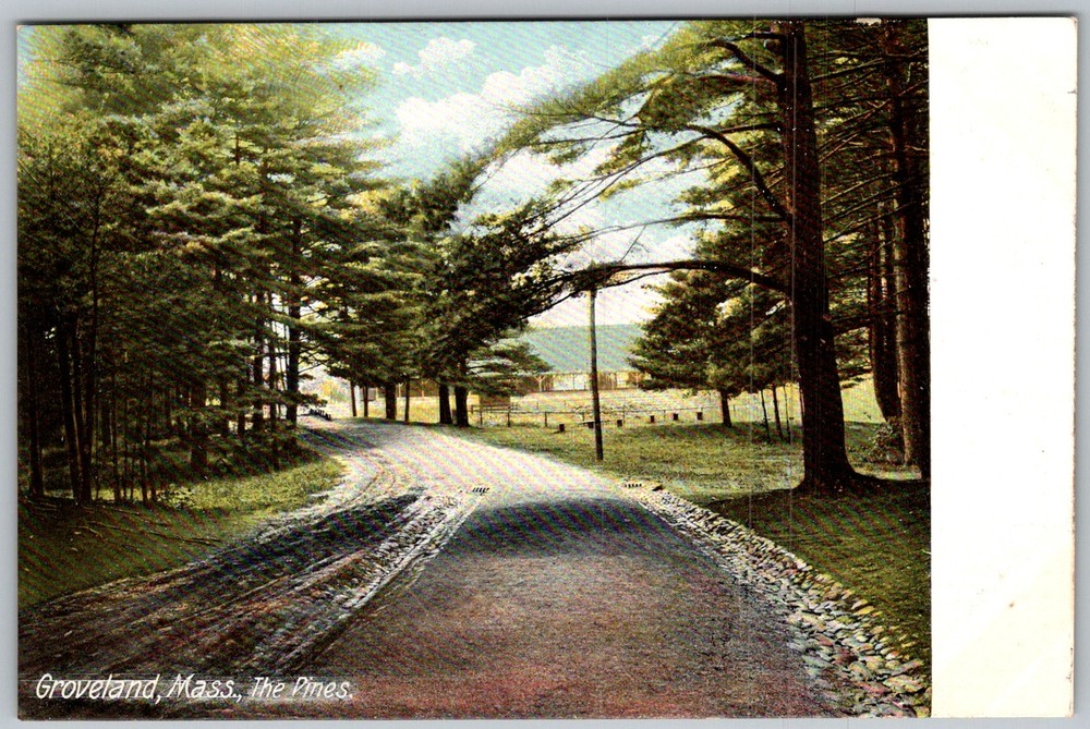 Antique Postcard The Pines Road Groveland, MA 1900s