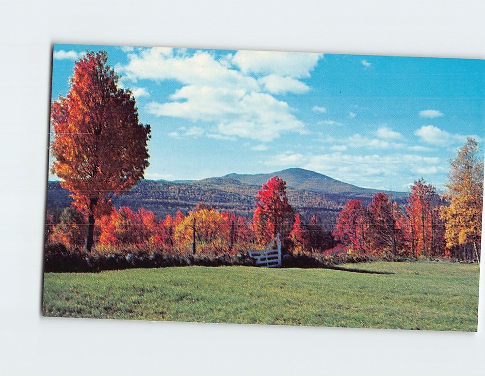 Postcard Fall Foliage Mount Kearsarge New Hampshire USA
