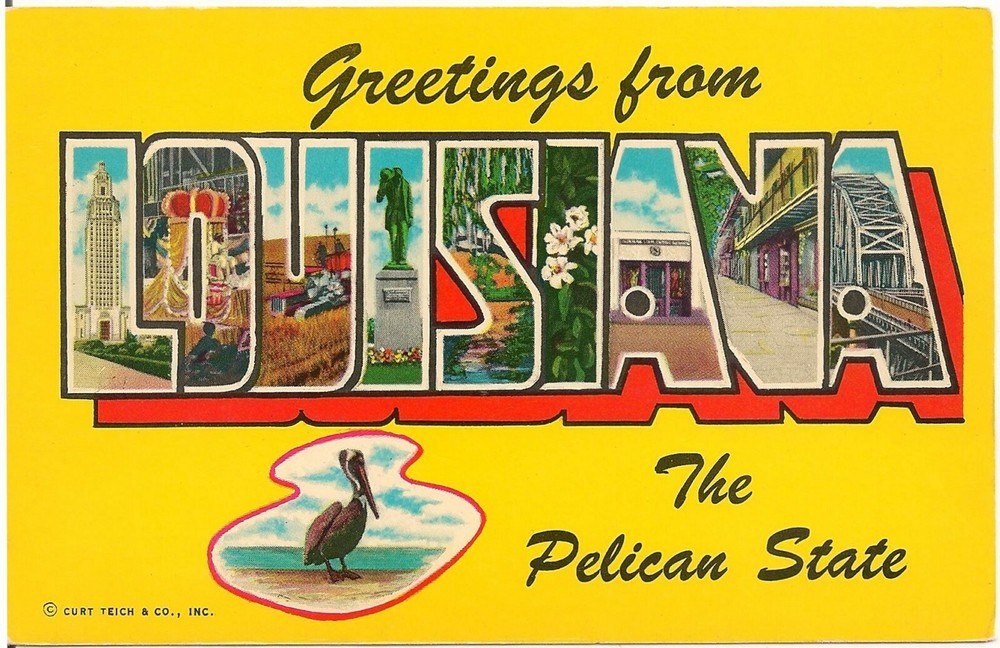 Greetings From Louisiana 'The Pelican State' Large Letter Postcard