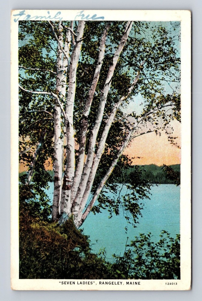 Rangeley ME- Maine, Scenic View Of Lake Area, Antique, Vintage Souvenir Postcard