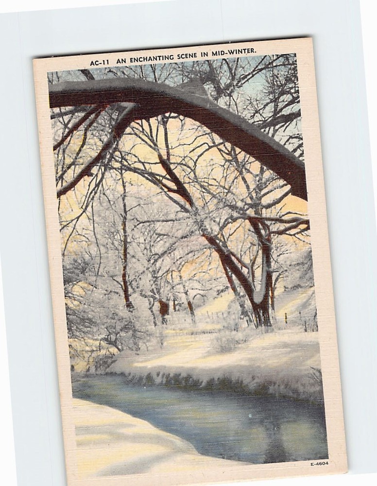 Postcard An Enchanting Scene In Mid-Winter, Great Smoky Mountains National Park