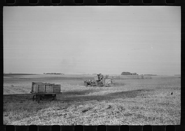 Photo:Grundy County Iowa Corn Wagon Field Harvest 1930s FSA OWI