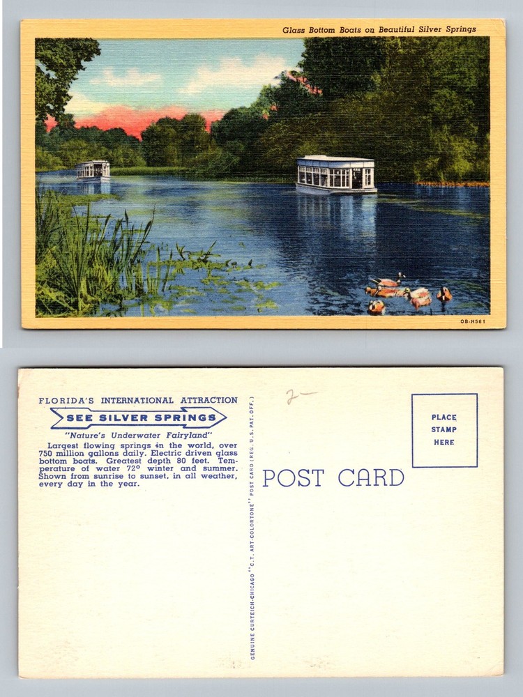 Ocala, FL-Florida, Glass Bottom Boats Silver Springs River View Vintage Postcard