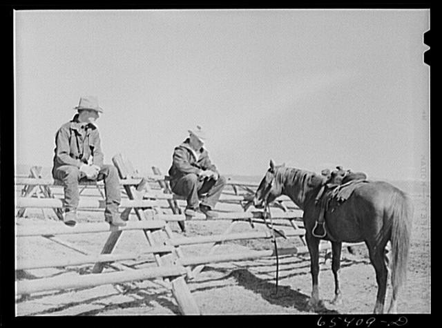 Beaverhead County MT 1930s Farm Security Administration Men on Fence Horse
