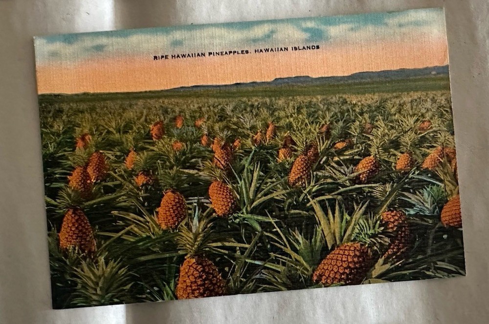 Vintage 1930s /40s Lot Of 8 Full Color Unused Post Cards Hawaii Grand Canyon LA