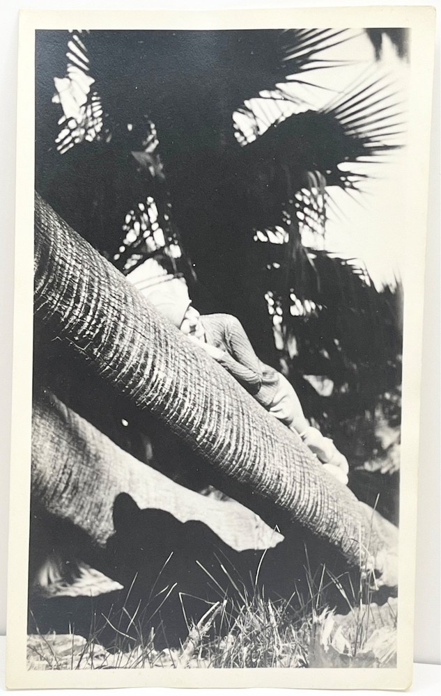 1940s Woman on Leaning Palm Tree Abstract Artistic Vintage Snapshot Photo-image